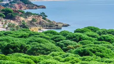 Aqua Pedra dos Bicos