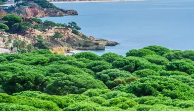 Aqua Pedra dos Bicos