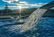 Aquarion Family & Friends