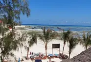 Aquarium Beach