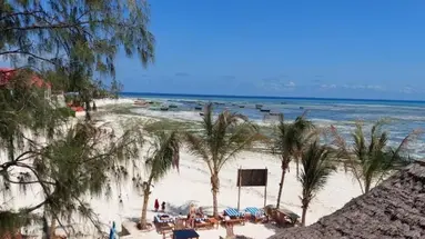 Aquarium Beach