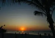 Aquarium Beach
