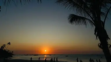 Aquarium Beach