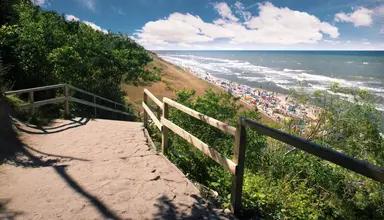 Ara (Jastrzębia Góra)