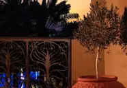 Arabian Court at One & Only Royal Mirage