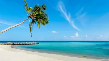 Arena Beach