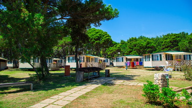 Arena Indije
