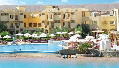 Arena Inn