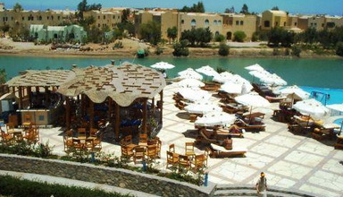 Arena Inn