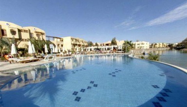Arena Inn