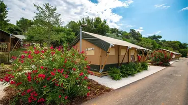 Arena One 99 Glamping