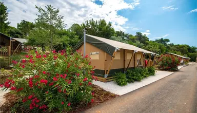 Arena One 99 Glamping