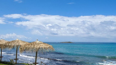 Arethousa