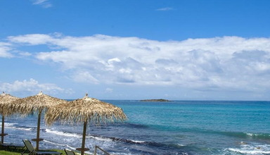 Arethousa