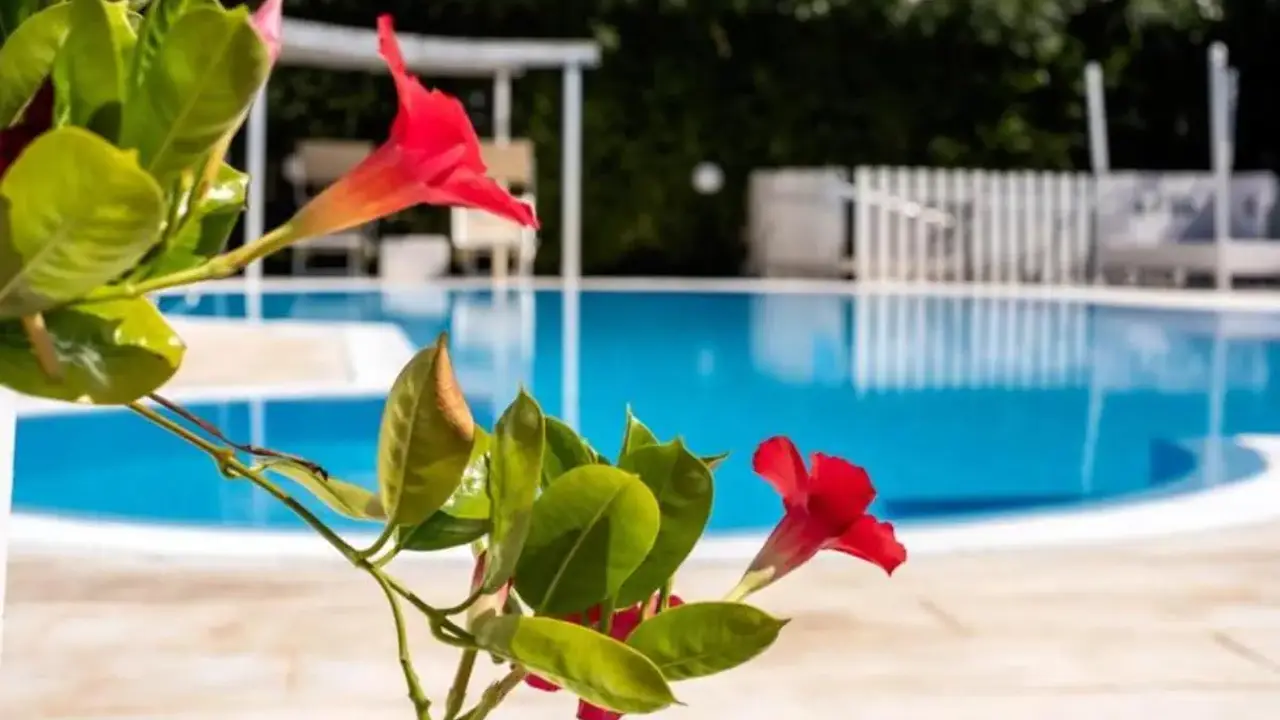 Aria di Mare