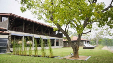 Arie Lagoon