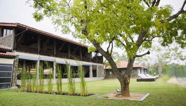 Arie Lagoon
