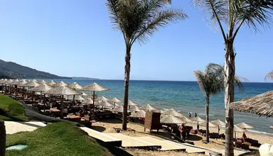 Arion Resort