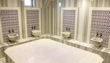 Ark Suite