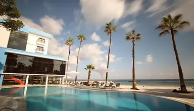 Arkin Palm Beach