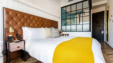 Arlo Williamsburg