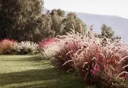 Armacera Resort