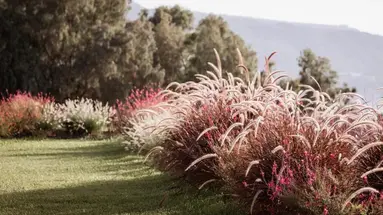 Armacera Resort