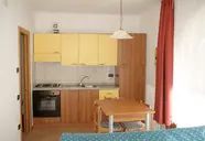 Arnica -Residence