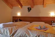Arnica -Residence