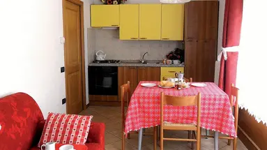 Arnica -Residence
