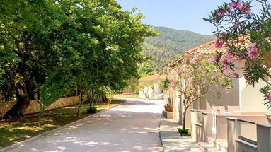 Aroma Nisteri