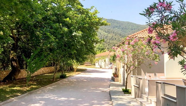 Aroma Nisteri