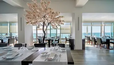 Arribas Sintra