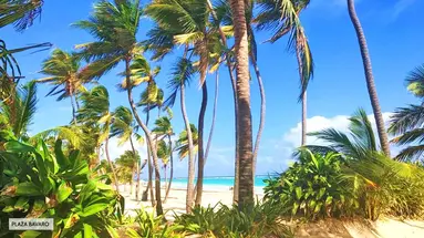 Art Villa Dominicana