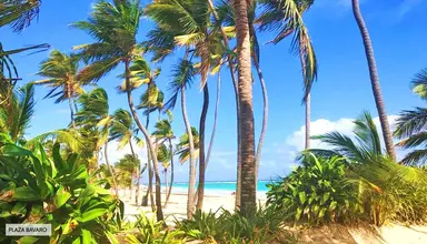 Art Villa Dominicana