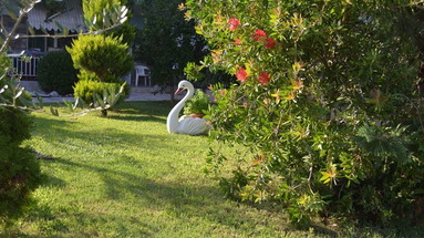Artemis Apartments