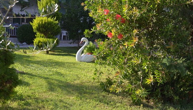 Artemis Apartments