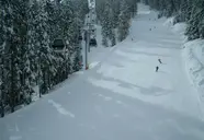 Artuik