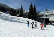 Artuik