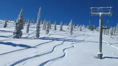 Aspen Meadows
