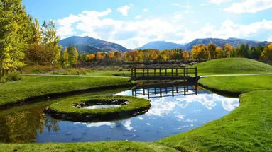 Aspen Meadows