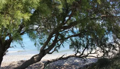 Asterias Bay
