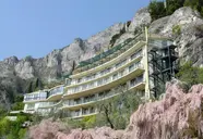 Astor (Limone )