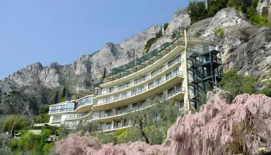 Astor (Limone )
