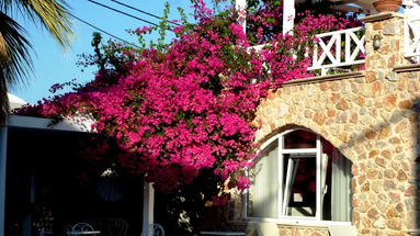 Atalos Suites