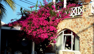 Atalos Suites