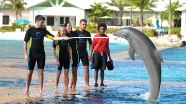Atlantis Beach Tower