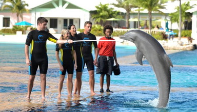 Atlantis Beach Tower