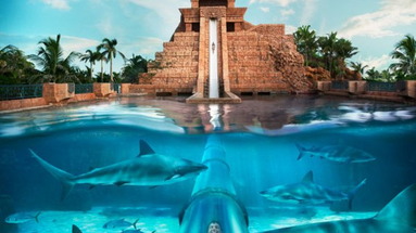 Atlantis Beach Tower