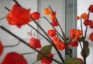 Atlantis Boutique City 